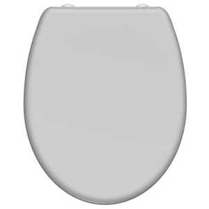 WC-Sitz Duroplast mit Absenkautomatik – Hochwertig & Pflegeleicht Grau - Bild 1 von 6