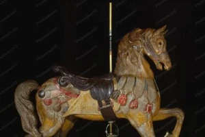 Glen Echo Dentzel Karussell Pferd 21a 1920er 4x6 Nachdruck des alten Fotos - Bild 1 von 1