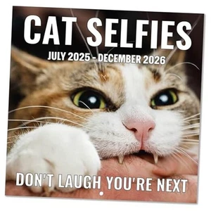 2025-2026 Wall Calendar - Funny Cats Calendar 2025-2026, 12" x 24" (Open), Jul - Picture 1 of 8