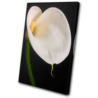 Floral Calla Lily Flowers SINGLE CANVAS WALL ART Picture Print VA