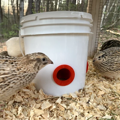 Puerto ahorrador de alimentación de codornices y pollitos - (8) puertos de 1,5" - impreso en 3D - reduce el desperdicio de alimentos Foto 1 de 4