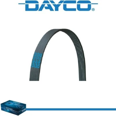 Cinturón serpentino Dayco Poly Rib para MERCEDES-BENZ C63 AMG S 2015-2021 V8-4,0 L Foto 1 de 4