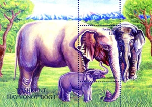 Uzbekistán. Fauna. Tashkent Zoo 2012. - Imagen 1 de 1