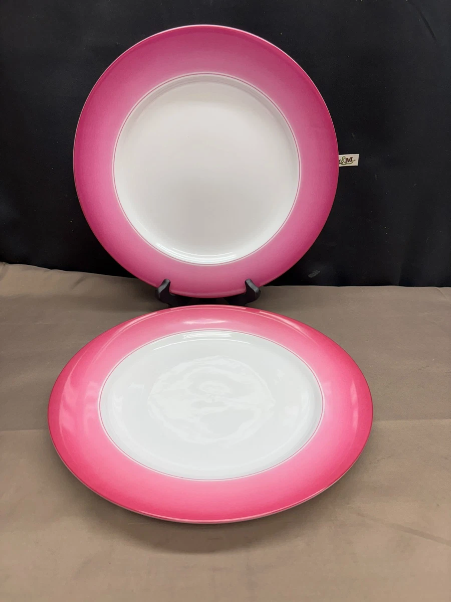 リンチェイス　パロッツ オブ パラダイス　C&Sとパン皿 リンチェイス パロッツ オブ パラダイス C&Sとパン皿