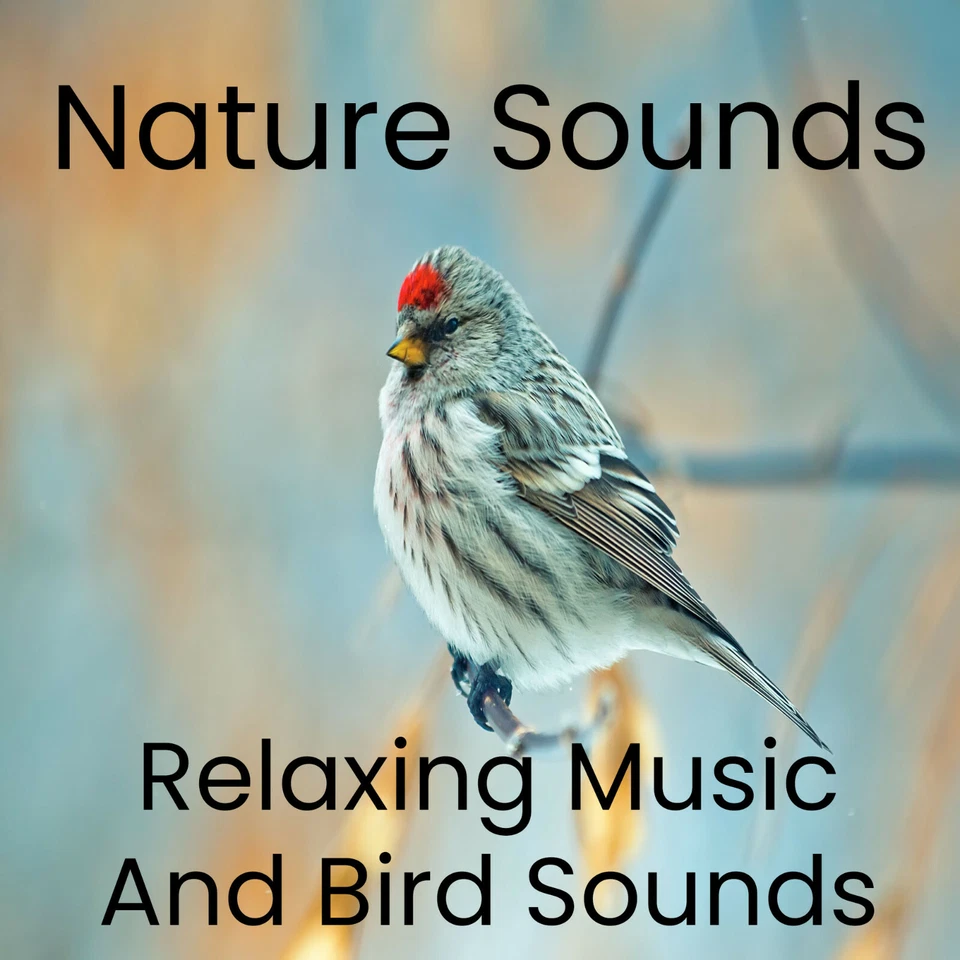 NATURE SOUNDS BIRD SOUNDS CD WITH RELAXATION MUSIC STRESS RELIEF CALM NATURE
