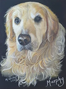 Tier Haustier Portraits handgezeichnet 100 % vollfarbig - Bild 1 von 9