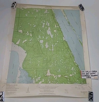 Vintage Eau Gallie Florida 1949 Map Quadrangle Toposographic Survey Old  ⬇ - Image 1 of 4