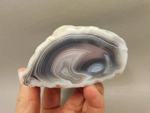 Botswana Agate Polished Stone Nodule Collector Rock Mineral #O11 - Picture 1 of 8