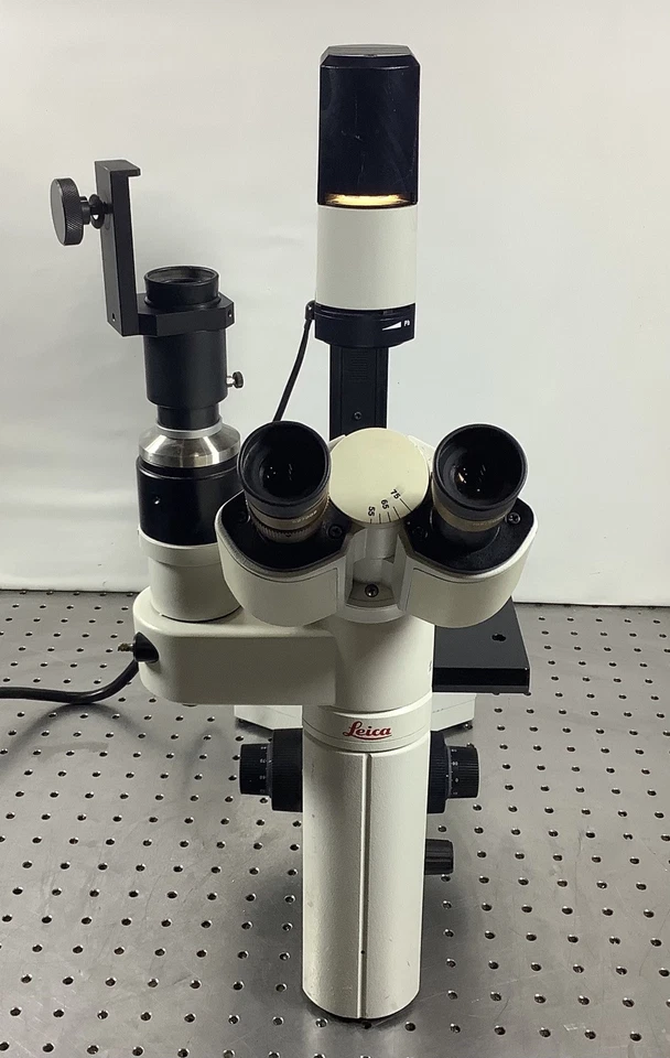 Microscopio invertido Leica DMIL 090-135-001 Foto 1 de 4