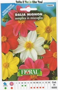 DALIA MIGNON SEMPLICE MISCUGLIO - AIUOLE BORDURE ROCCIOSI-FLORAL - BUSTA SEMENTI - Picture 1 of 1