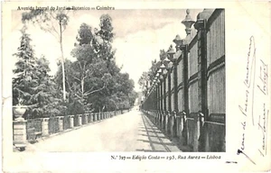 CPA Carte postale Portugal Lisboa Rua Aurea Avenida lateral do Jardim Botanico - Picture 1 of 2