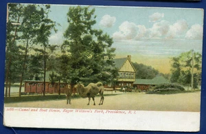 Camel and Boat House Roger Williams Park Providence RI Postcards - Picture 1 of 2
