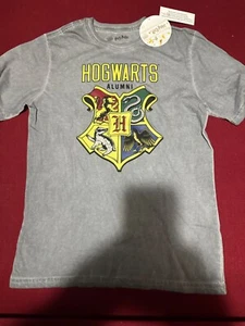 Harry Potter Wizarding World Boy's Hogwarts Alumni Crest T-Shirt Gray Size 18 - Picture 1 of 5