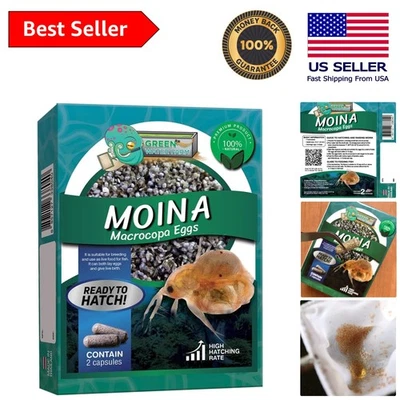 Hatch Healthy Fish with Moina Macrocopa Eggs - Additive-Free & Nutritious - Image 1 of 4