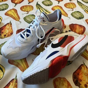 Nike Shoes Men's Sz13 Air Zoom Division 'White Game Royal' Sneakers CK2946-100 - Picture 1 of 9