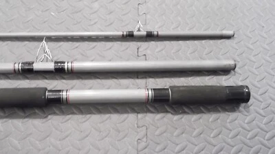 AGUA SALADA... DAIWA 13' PLATA REGAL 3 PIEZAS / VARILLA GIRATORIA Foto 1 de 4