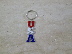 KEYRING,ZIPPER PULL,USA,VOTER,DEMOCRAT,REPUBLICAN,POLITICAL,NURSE,DOCTOR,MEDICAL - Picture 1 of 2