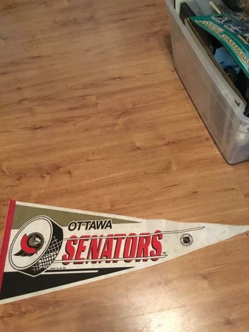 Ottawa Senators Logo Pennant Cover