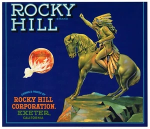GENUINE CRATE LABEL VINTAGE EXETER AMERICAN INDIAN 1930 NATIVE ROCKY HILL CITRUS - Picture 1 of 1