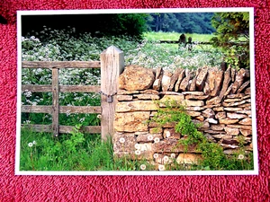 COTSWOLD WALL [ART OF DRY STONE WALLS]  ENGLAND COLOUR POSTCARD [537] - Bild 1 von 2