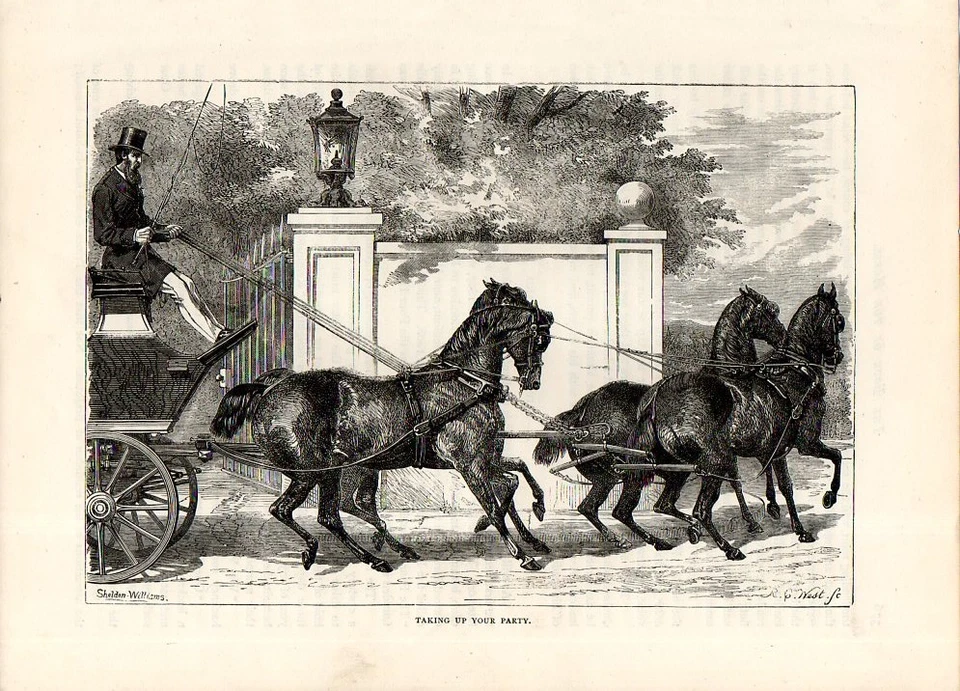 Stampa antica CARROZZA CON QUADRIGLIA DI CAVALLI NERI 1892 Old print horses - Immagine 1 di 1