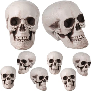 8 Pieces Halloween Skulls Realistic Looking Skulls Human Skeleton Head for Hallo - Picture 1 of 12