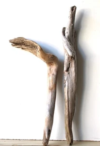 Treibholz Schwemmholz Driftwood 2 XL  Hölzer Terrarium Dekoration 63-80 cm - Bild 1 von 13