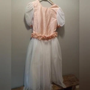 Posies Of Maine "Tinker Bell"Girls  Dress Pink White Size 16.  NWT - Picture 1 of 9