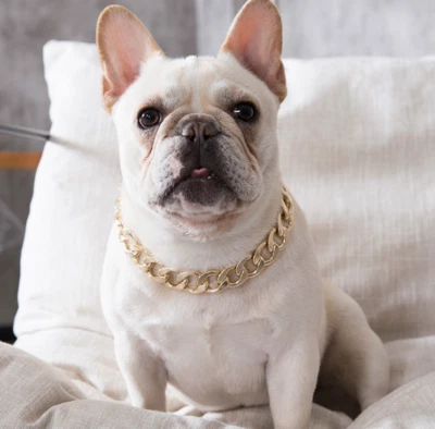 Pet Accessories Gold Chain Cat Necklace Small and Medium Dog  Necklace Collar  - Image 1 of 3