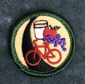 Pfadfinderin Junior AUTOBAHN ZUR GESUNDHEIT ABZEICHEN Ernährung Heimtrainer Aufnäher im Ruhestand - Bild 1 von 3