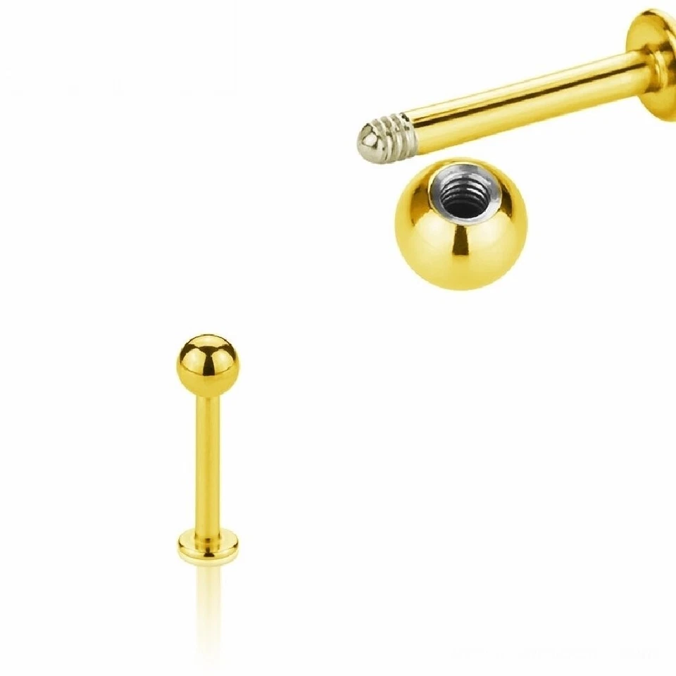 Labret Piercing 1,2 Mm Oro Orecchio Trago Orecchino Labbra Conchiglia - Immagine 1 di 1