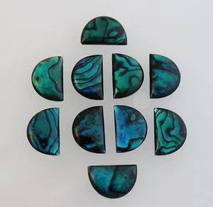 18X13mm Natural Abalone Paua Shell Half an Oval Flat Cabochons Blue Green 6 pcs - Picture 1 of 5