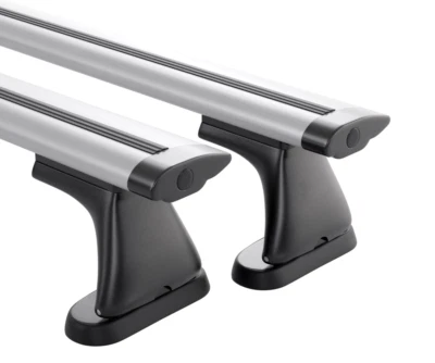 Baca Dyn Barras M0KK 120 cm (par de) para furgoneta Renault Kangoo (1998-2024) Foto 1 de 4