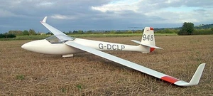 Ala di vetro H-201 libellula standard aereo a vela modello in legno spedizione gratuita - Foto 1 di 1