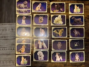 2024 Topps Allen & Ginter: 20- card lot Westminster Kennel Club Dogs All Unique - Picture 1 of 5