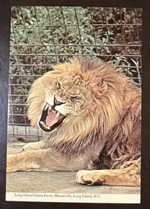 Vintage Long Island Game Farm Manorville Long Island NY Löwe Postkarte Unp - Bild 1 von 2
