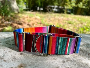1.5" Wide Martingale Dog Collar - Bold Striped Martingale Collar Made in USA - Picture 1 of 4