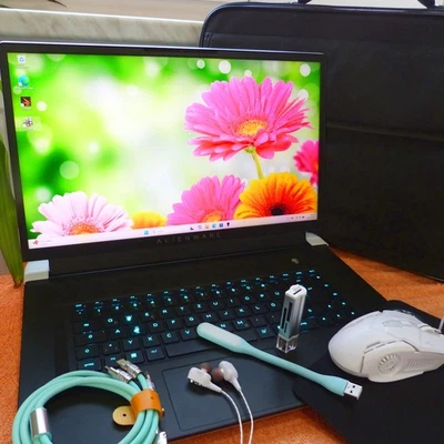 Alienware M17 R6 17Zoll 165Hz PRO Gaming Geforce RTX 3080 TI 16GB l 64GB RAM NEU - Bild 1 von 4