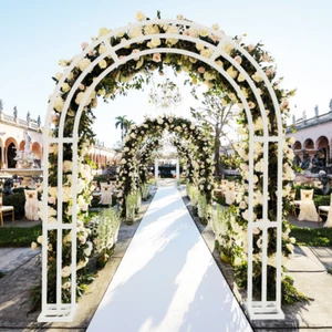 Arco de rosas jardín boda puerta arco de boda arco de uva metal ayuda de clasificación - Imagen 1 de 15