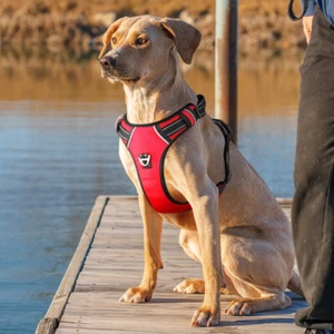 HOT No Pull Dog Pet Harness Adjustable Control Vest Dogs Reflective No Choke ๐ถ - Picture 1 of 27