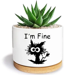 ® Funny Black Cat Succulent Pots Cat Flower Pot Black Cat Planter 3.5 inch Ce... - Picture 1 of 6