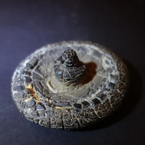 Rarität: tibetischer "Turtle Back" Schamanenstein - Fundachat aus der Wüste Gobi - Bild 1 von 10