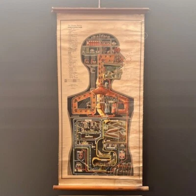 Fritz Kahn 1942 ‘The Human Factory’ - Canadian English ed. Anatomical Wall Chart - Image 1 of 4