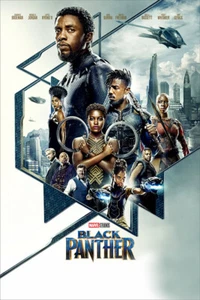 Black Panther Fantasy Movie Print Painting Wall Art Home Decor - POSTER 20x30 - Picture 1 of 4