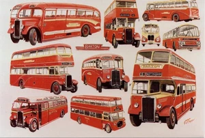 (cc21) Barton Buses - Bus Postcard - Picture 1 of 2