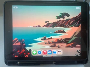 Apple iPad 5a generazione(2017) Wi-Fi-128gb - Foto 1 di 4