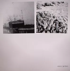 Avrocar / Guidance / Vinyl / Abstract Grooves / short.sharp.shock / Germany - Picture 1 of 2