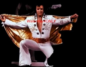 "Elvis Presley" "King of Rock & Roll" schönes "Pin Up" FOTO! #(8)  - Bild 1 von 2