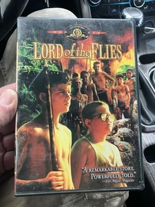 Lord of the Flies by Harry Hook: Used - Foto 1 di 3