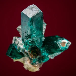 Melanson TN Coll Dioptase mit Quarz Republik Kongo 1212-4914 - Bild 1 von 4